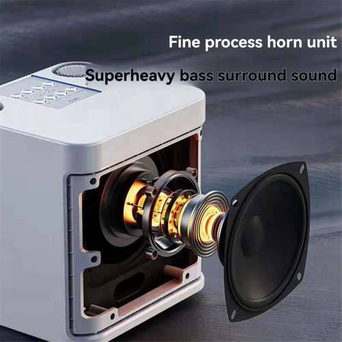 -203 Karaoke Set Wireless Dual Microphone Speaker Machine black