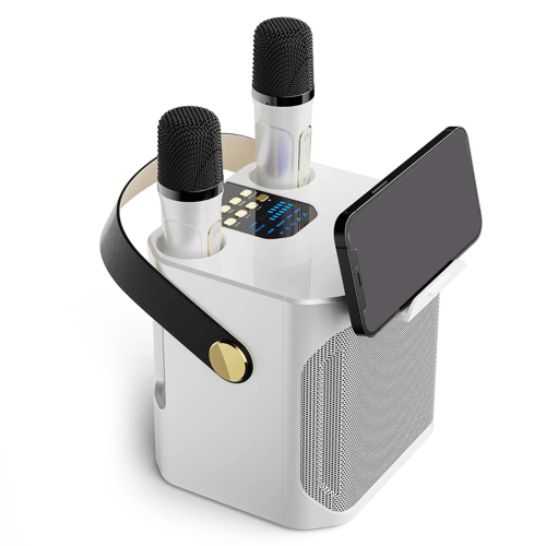 High Power Karaoke Bluetooth Speaker with Dual Microphone White