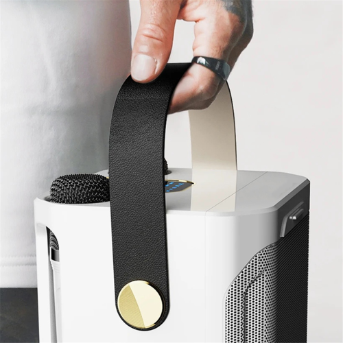 Enceinte Bluetooth karaoké haute puissance avec double microphone noir 2