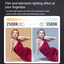 80W COB videodæmpningslampe, 2500-6500K, fotografisk LED-lampe (EU)