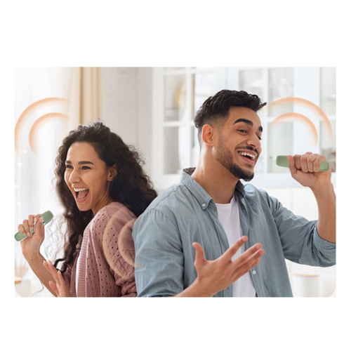 Conjuntos de microfones com placa de som Bluetooth para KTV Mixer com redução de ruído 1