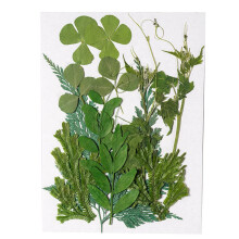 Natural dried leaf DIY embossed craft pressed leaves beauty decoration decorative postcard for wedding cards resin candle, green leaf 12