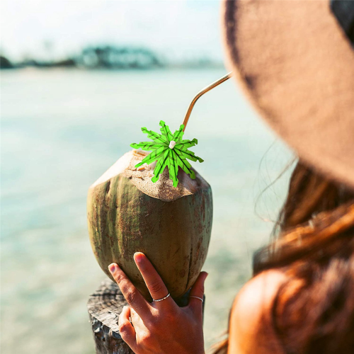 120X Green Coconut Tree Toothpicks Paper Umbrellas Toothpicks 2