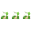120X Green Coconut Tree Toothpicks Paper Umbrellas Toothpicks 1