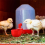 12PCS Chicken Watering Cup Automatic Filling Waterer Poultry Drinking 4