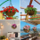 14 Inch Coconut Liners for , Coir Basket Liners 5
