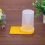 2 Pack Beehive Beekeeping Water Dispenser Beekeeping Equipment 4
