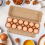 20PCS Cardboard Egg Cartons Blank Paper Pulp Container Empty Egg Tray 6
