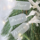 20Pcs Tag Labels Chair Acrylic Arch Sign Blank 7