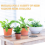 Conjunto de 24 bases para plantas absorventes e impermeáveis 5