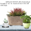 24Pcs Natural Rubber Plant Pots Risers Pad Feet Black 5