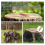 25 Pcs Copper Nails to Killing Trees,3.5 Inch Pure Copper Nails 5