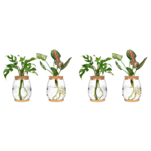 2Pcs Plants Propagation Stations with Tray for Propagating Hydroponic