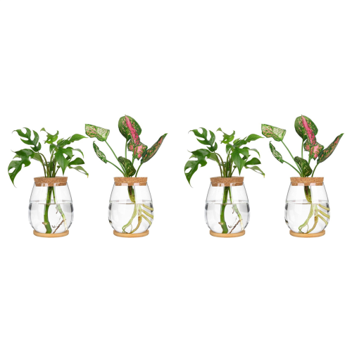 2Pcs Plants Propagation Stations with Tray for Propagating Hydroponic