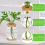 2Pcs Plants Propagation Stations with Tray for Propagating Hydroponic 2