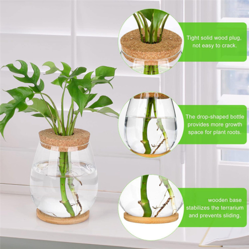 2Pcs Plants Propagation Stations with Tray for Propagating Hydroponic 1