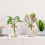 2Pcs Plants Propagation Stations with Tray for Propagating Hydroponic 5