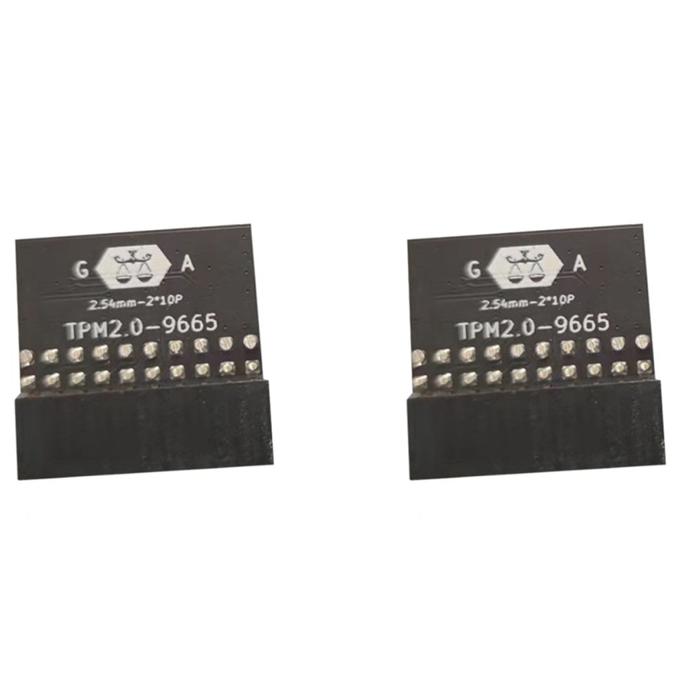 2X Lpc 20Pin Protection Module For Tpm-L R2.0/ -Tpm2.0 4713239290208