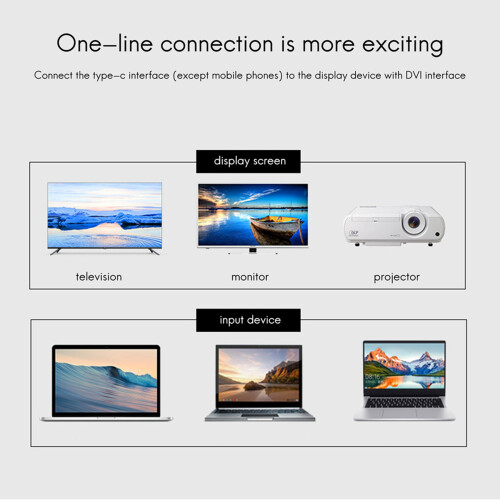 2X USB TYPE C to DVI Cable 4K 30Hz (6FT/1.8M) for Pro 2