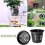 3 Inch 50Pack Planting Basket for Hydroponics, Black and White 6
