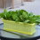 4 Packs 17 Inches Flower Window Box Plastic Vegetable 7