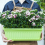 4 Packs 17 Inches Flower Window Box Plastic Vegetable 4