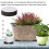 48Pcs Plant Risers Natural Rubber Flower Pot Mat 6