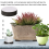 48Pcs Plant Risers Natural Rubber Flower Pot Mat 6