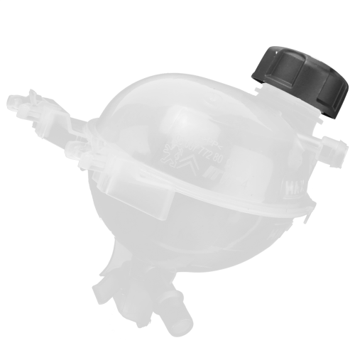 9800777280 Coolant Expansion Tank Bottle with Cap for 207 2