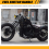 Interruptor de combustível/óleo para motocicleta Steed 400 600 VLX400 5