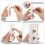 12 inserts pour prise banane, anneaux noirs et rouges 6