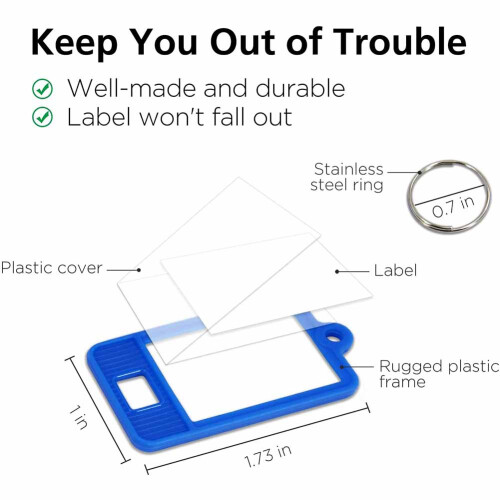 100 pezzi di etichette portachiavi in plastica resistente con finestra e anello diviso, 5 colori 1