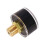 Scuba Diving PCP Air Mini Micro-Manometer 16 Bar, 1/8 NPT-draad 5
