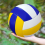 Voleibol profesional de PVC impermeable, suave y fácil de transportar 4