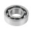 Kit de segments de piston, coussinets de vilebrequin pour MS170 MS 170 017 4