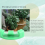 36 pièces de clips de formation à 90 pour plantes - clips LST 4