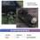 390 Elektromotor 6V 18000 RPM Auto DC-motor 6