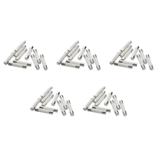 10 Pieces AC 250V 15A 6x30mm Fusibles De Tube Blanc+Argent