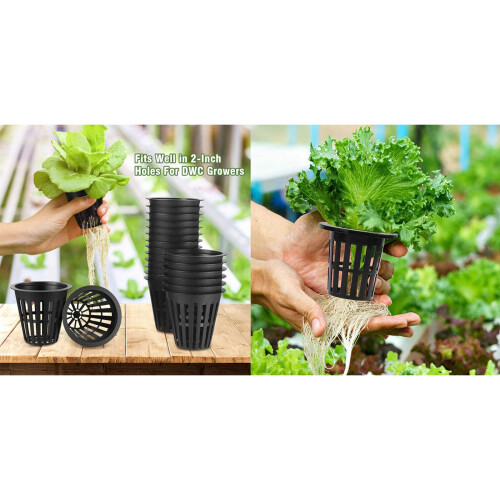 100 Pack Net Cups Slotted Mesh Wide Lip Filter Plant Net Pot 1