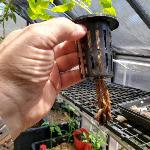 100 Pack 2.36 Inch Cups Slotted Mesh Wide Lip Filter Plant Net Pot 1