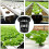 100 Pack 2.36 Inch Cups Slotted Mesh Wide Lip Filter Plant Net Pot 5
