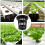100 Pack Net Cups Slotted Mesh Wide Lip Filter Plant Net Pot 6