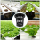 100 Pack Net Cups Slotted Mesh Wide Lip Filter Plant Net Pot 6