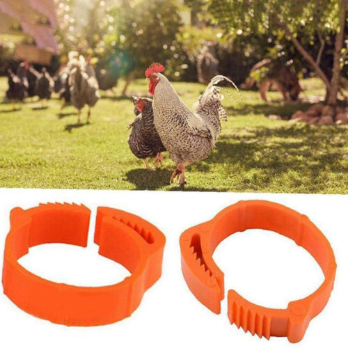 100Pcs Chicken Identification Leg Bands Tags Poultry Clip-on Rings 1