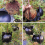 10Pcs Reusable High Pressure Ball Plant Rooting Growing Box S 5