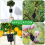 10Pcs Reusable High Pressure Ball Plant Rooting Growing Box S 2