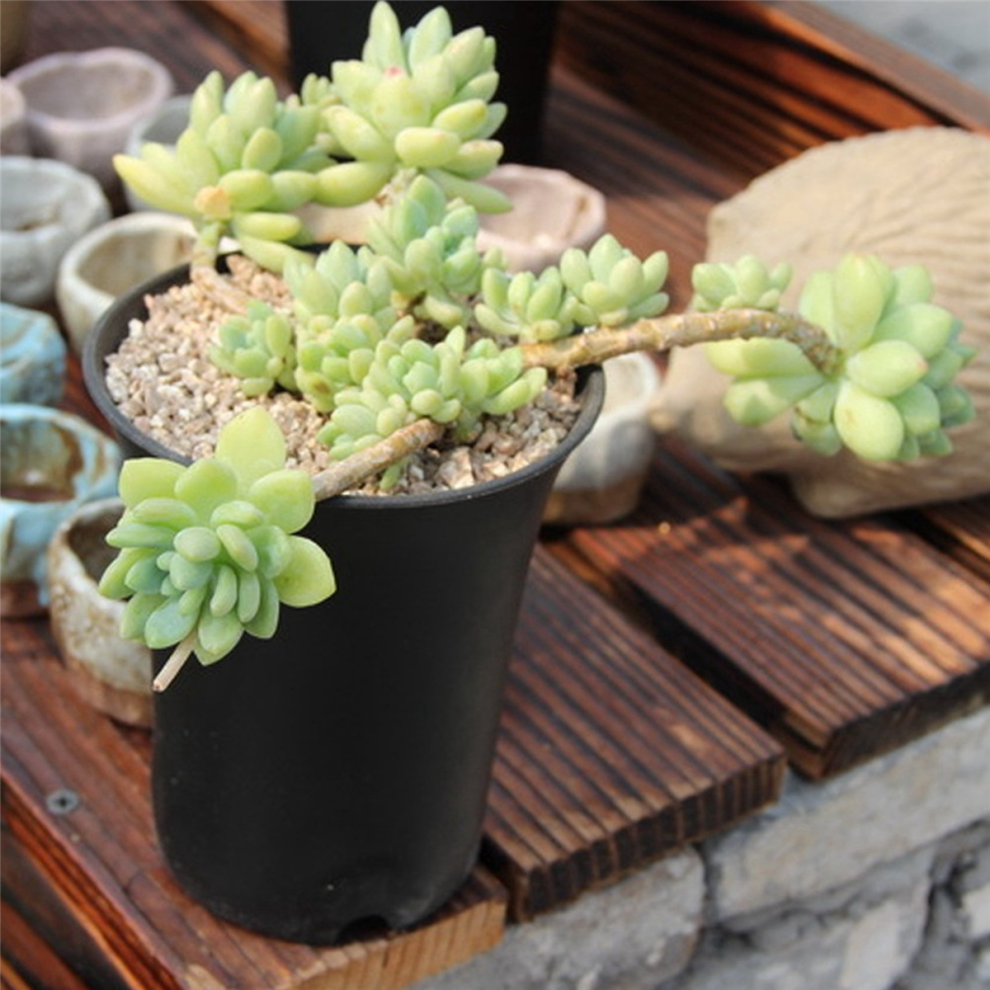 10PcsBlack Round Flower Pots High Waist for Indoor and Outdoor Plants-image-OPC-PJ527N7-NEW