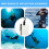Writing Board for Diving  Rotating Clip Pencil (small size) 3