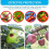 2025 Latest Model  7.8 * 7.2Ft Large Fruit Tree Netting Cover with 4