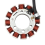 3D6-H1410-00 Stator Coil for 2005 2006 Motorcycle Accessories 3